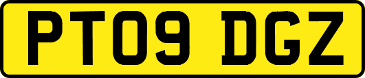 PT09DGZ