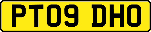 PT09DHO