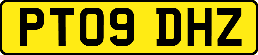 PT09DHZ