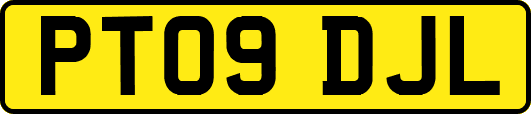 PT09DJL