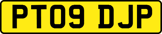 PT09DJP