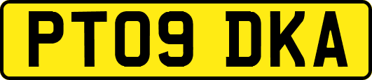 PT09DKA