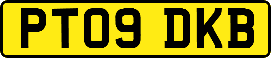 PT09DKB