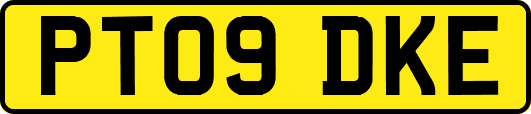 PT09DKE
