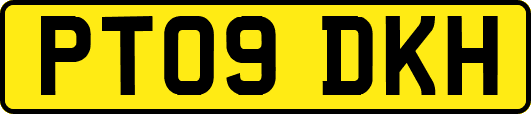 PT09DKH