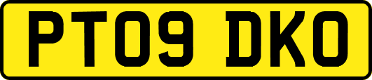 PT09DKO