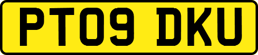 PT09DKU