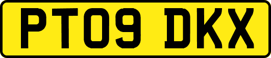 PT09DKX