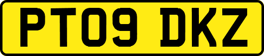 PT09DKZ