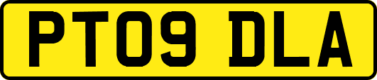 PT09DLA