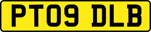 PT09DLB