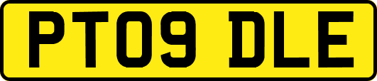 PT09DLE