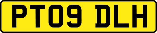 PT09DLH