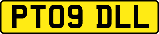 PT09DLL