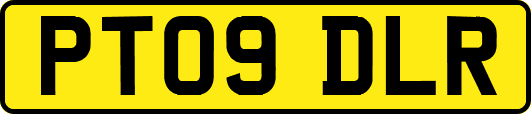 PT09DLR