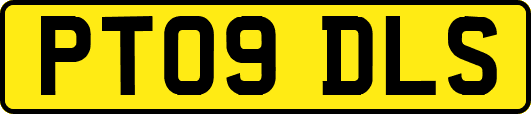 PT09DLS