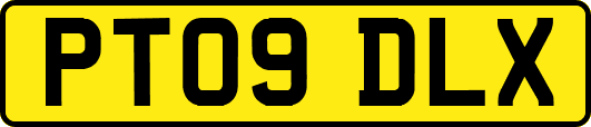 PT09DLX