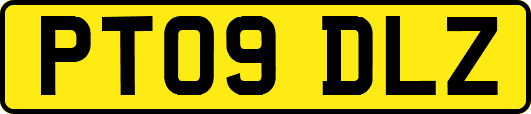 PT09DLZ