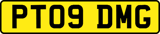 PT09DMG