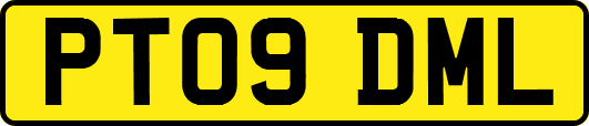 PT09DML