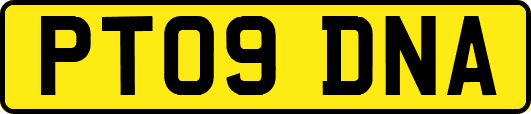 PT09DNA
