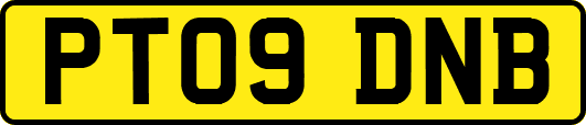 PT09DNB