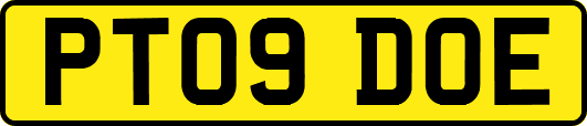 PT09DOE