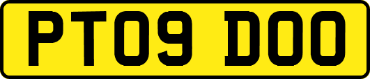 PT09DOO
