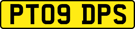 PT09DPS