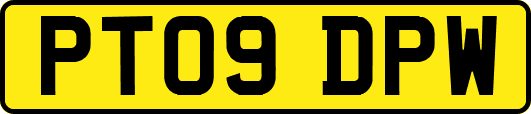 PT09DPW