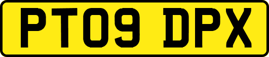 PT09DPX