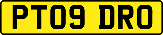 PT09DRO