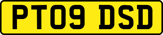 PT09DSD