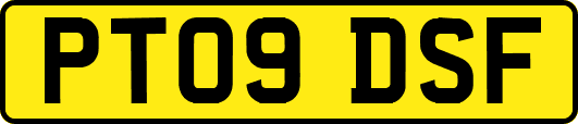 PT09DSF