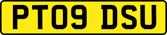 PT09DSU