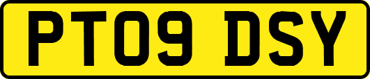 PT09DSY