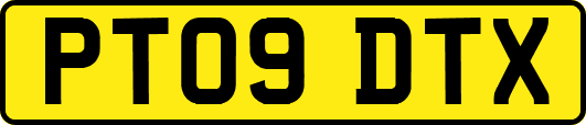 PT09DTX