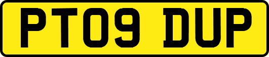 PT09DUP