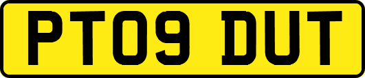 PT09DUT