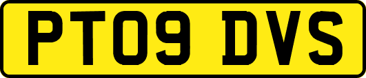 PT09DVS