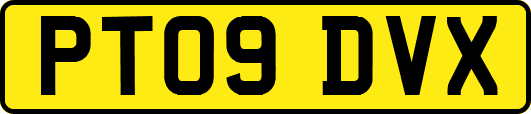 PT09DVX