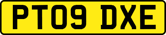 PT09DXE