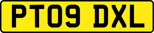PT09DXL