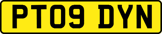 PT09DYN