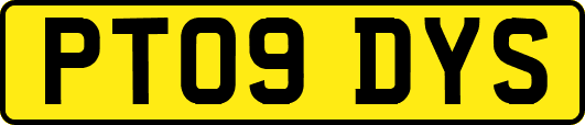 PT09DYS