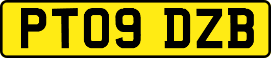 PT09DZB