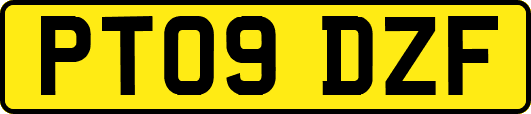 PT09DZF