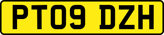 PT09DZH