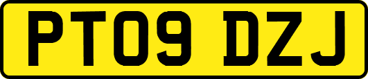PT09DZJ