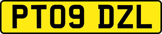 PT09DZL